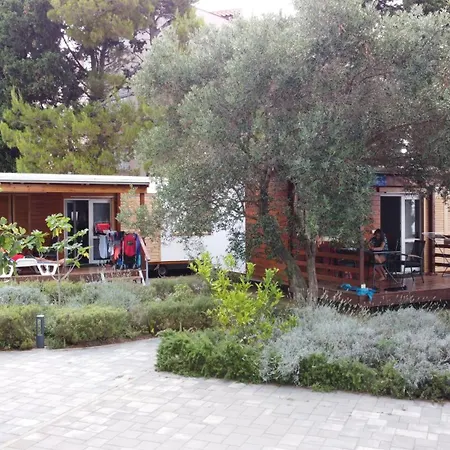 Cremona Mobile Yellow Турань